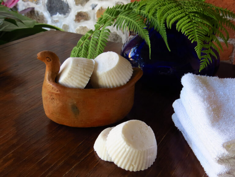 Shampoo Natural en barra de coco